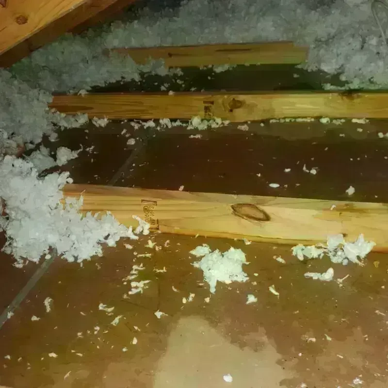 Attic Water Damage in Columbia, MO