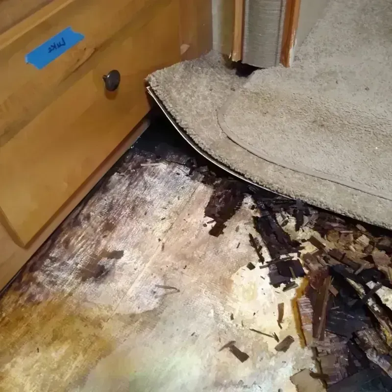 Wood Floor Water Damage in Columbia, MO